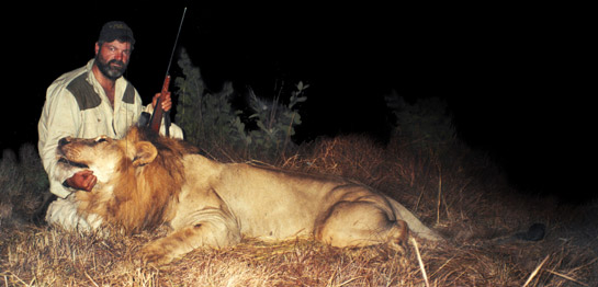 Shawn and Lion